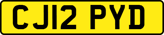 CJ12PYD