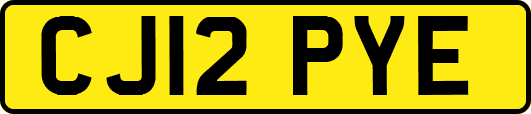 CJ12PYE