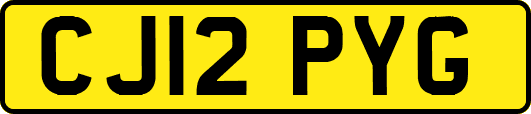 CJ12PYG