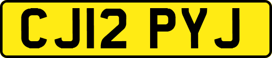 CJ12PYJ