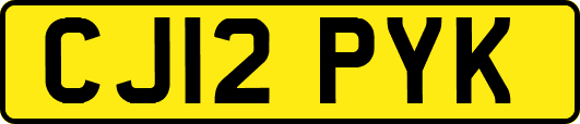 CJ12PYK