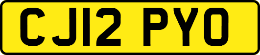 CJ12PYO