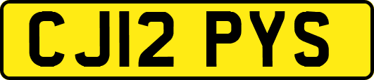 CJ12PYS