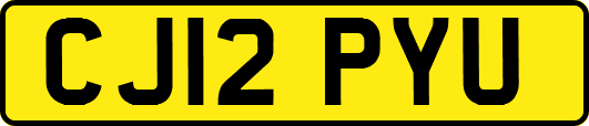CJ12PYU