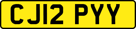 CJ12PYY