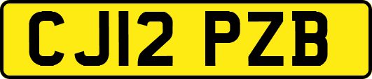 CJ12PZB