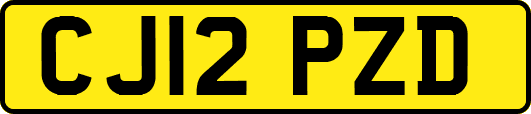 CJ12PZD
