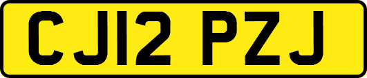 CJ12PZJ