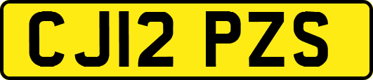 CJ12PZS