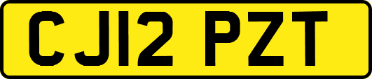 CJ12PZT