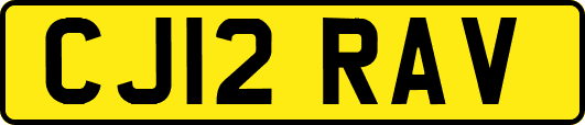 CJ12RAV