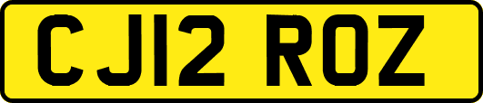 CJ12ROZ