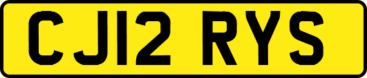 CJ12RYS