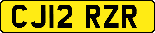 CJ12RZR