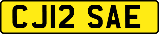 CJ12SAE