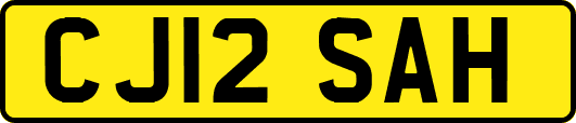 CJ12SAH