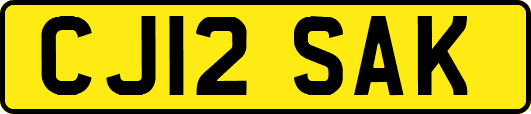 CJ12SAK