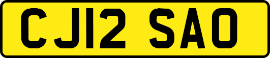CJ12SAO