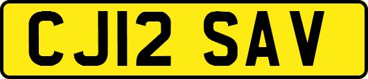 CJ12SAV