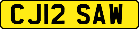 CJ12SAW
