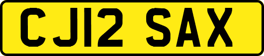 CJ12SAX