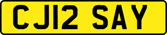 CJ12SAY