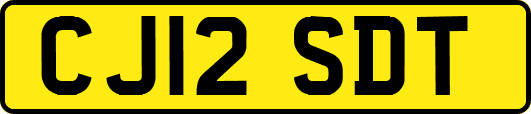 CJ12SDT