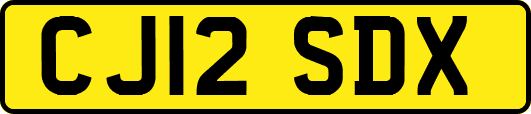 CJ12SDX