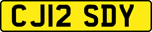 CJ12SDY