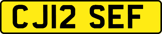 CJ12SEF
