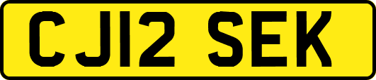 CJ12SEK