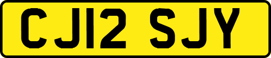 CJ12SJY