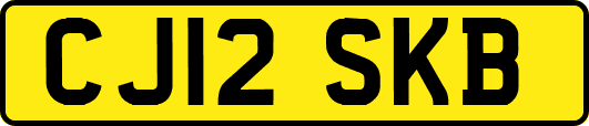 CJ12SKB