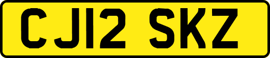 CJ12SKZ