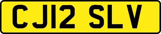 CJ12SLV