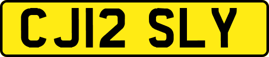 CJ12SLY