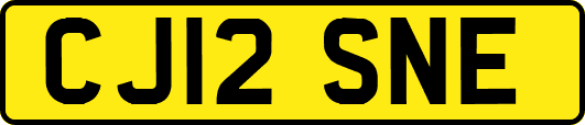 CJ12SNE