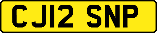 CJ12SNP