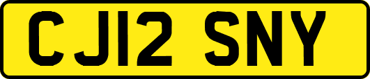 CJ12SNY