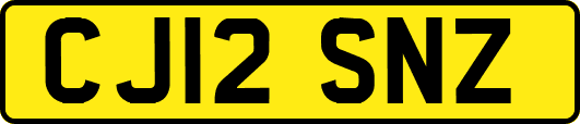 CJ12SNZ