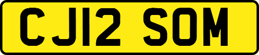 CJ12SOM