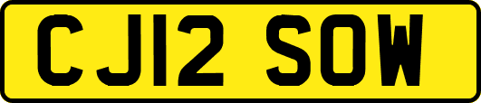 CJ12SOW