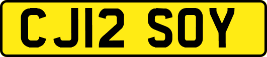CJ12SOY