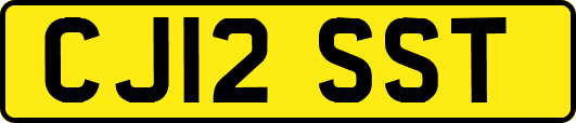 CJ12SST