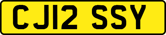 CJ12SSY