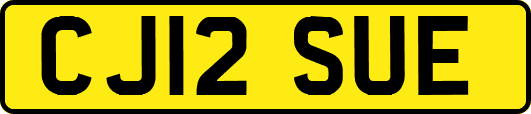 CJ12SUE