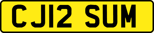 CJ12SUM