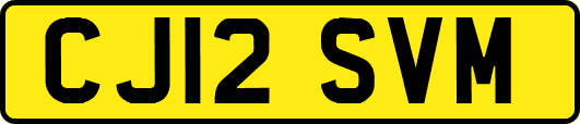 CJ12SVM
