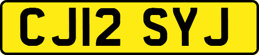 CJ12SYJ