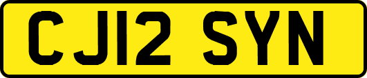 CJ12SYN